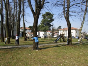 Abbracciare gli alberi